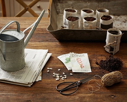 Gardening 101: How to Sprout a Seed