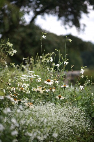 Expert Advice: 10 Tips to Get Your Garden Ready for Spring