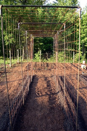 Vegetable Garden Design: DIY Bean Trellis