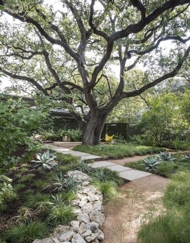 11 Ideas to Steal from Drought-Tolerant Gardens