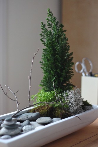 DIY: A Desktop Zen Garden
