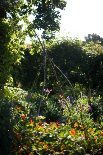 Garden Visit: Camera Ready in the English Countryside at Walnuts Farm