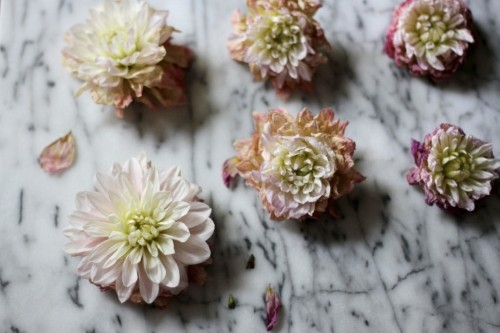 Tried and Tested: How to Make Fresh Flowers Last Longer