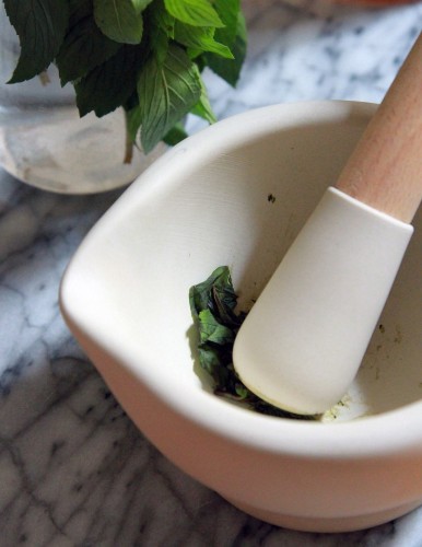 DIY: 7 Best Natural Mosquito Bite Remedies