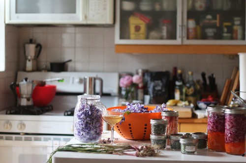Plant Based Diet: 16 Edible Flowers to Grow