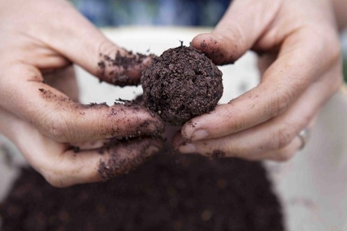 DIY: Make Your Own Wildflower Seed Bombs
