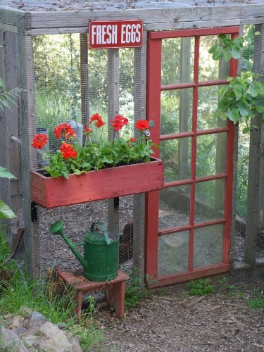 Lady in Red: A Woodland Chicken Coop with Charm to Spare
