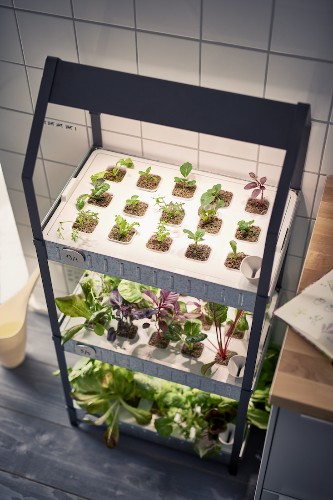 New from Ikea: A Hydroponic Countertop Garden Kit