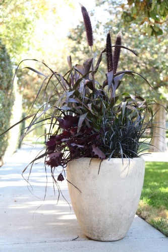DIY Patio Planter: Dark and Stormy Shades