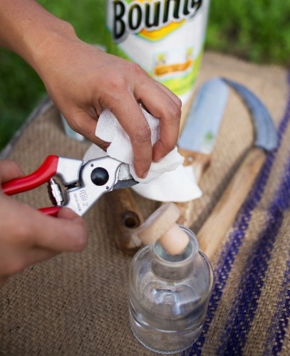 Refreshing Neglected Garden Tools