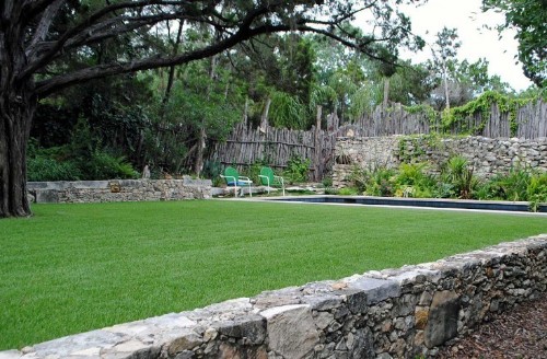 Your First Garden: What You Need to Do in Fall for a Lush Lawn in Spring
