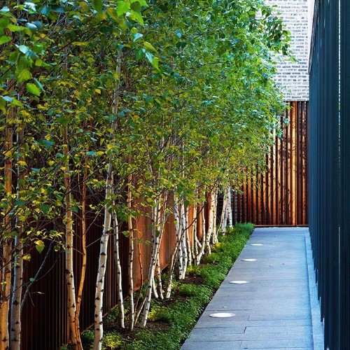 Hardscaping 101: Pathway Lighting