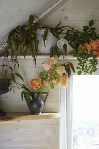 Vines Gone Wild: 10 Rooms with Creeping Greenery