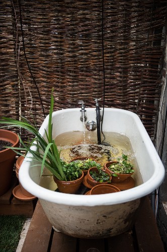 Restaurant Visit: An Innovative Micro Farm at Olmsted in Brooklyn