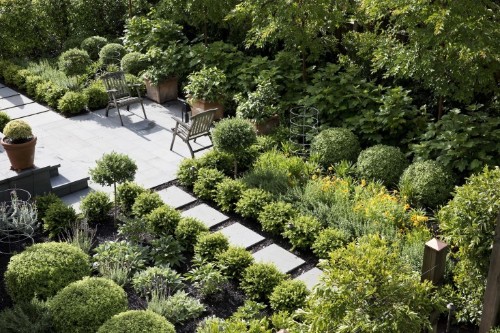 Everything You Need to Know About Shrubs