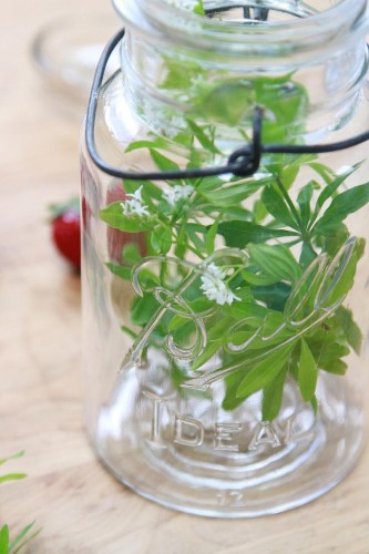 Herbal Essence: Just Add Water