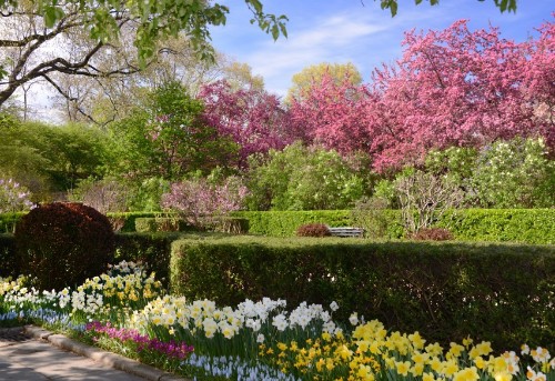 The Healthiest Spots to Visit in NYC