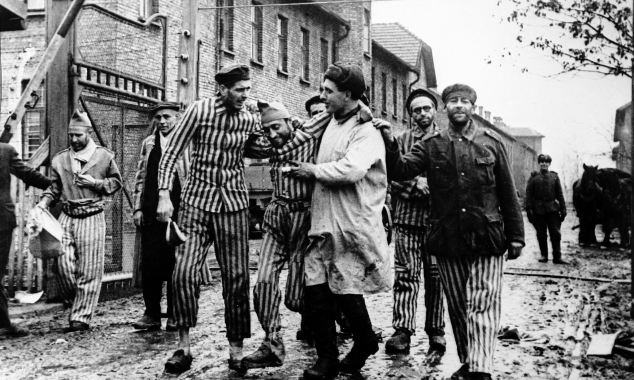 Tales from Auschwitz: survivor stories