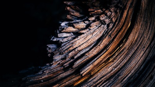 Employee Burnout Is a Problem with the Company, Not the Person