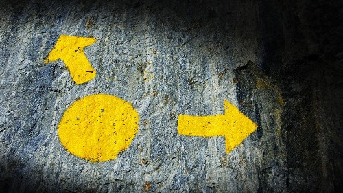 There Are 4 Futures for CMOs (Some Better Than Others)
