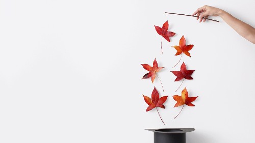 The Role of a Manager Has to Change in 5 Key Ways