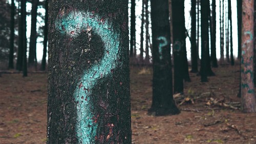 5 Questions Leaders Should Be Asking All the Time