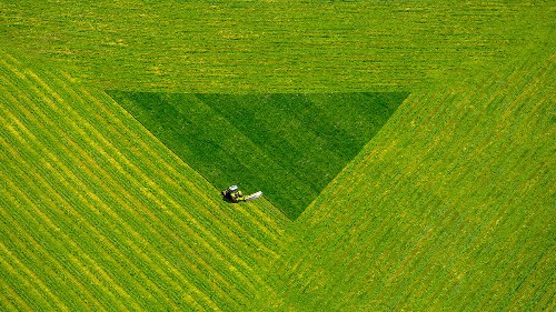 How Perfectionists Can Get Out of Their Own Way