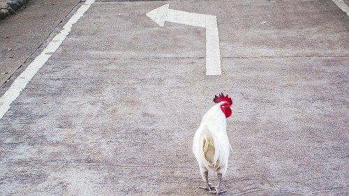 What to Do If There’s No Clear Career Path for You at Your Company