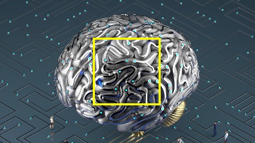 Most of AI’s Business Uses Will Be in Two Areas