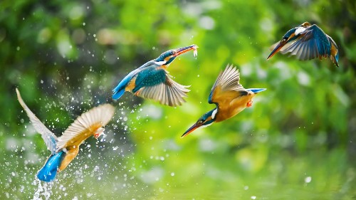 7 Traits of Super-Productive People