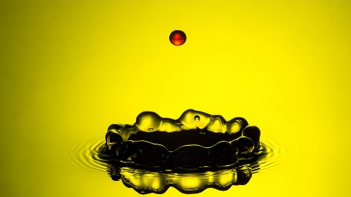 Spending 10 Minutes a Day on Mindfulness Subtly Changes the Way You React to Everything