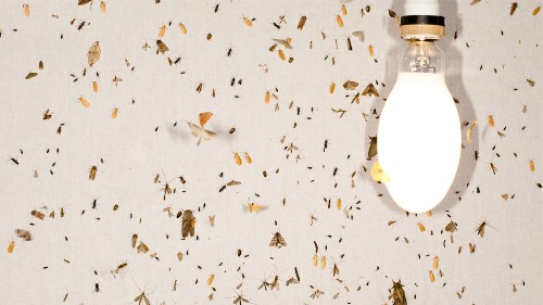 Your Digital Strategy Shouldn’t Be About Attention