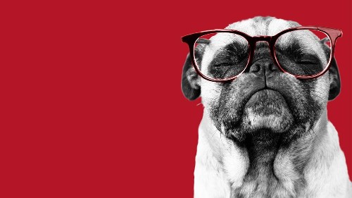 How to Manage People Who Are Smarter than You