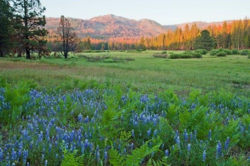 A Trump Budget Would Hurt Americans' Access To Our Public Lands