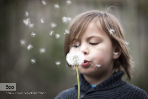 Daily Meditation: Welcoming Something New