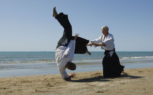 Verbal Aikido: How to Respond to Reasonable AND Unreasonable Challenges (6.6)
