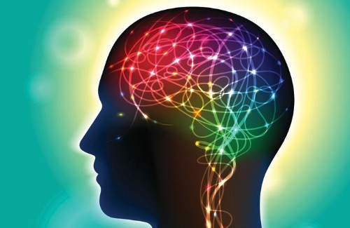 How The Brains Of Happy, Successful People Are Wired