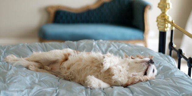 The Simple Things You Should Be Doing Every Morning (But Aren't) | HuffPost Life
