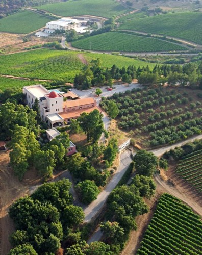 Why You Should Consider Vacationing At A Vineyard | HuffPost Life