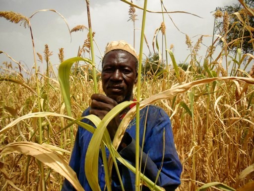 Sahel in 10 Pictures: The Food Crisis in West Africa