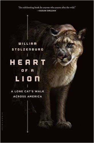 Heart of a Lion: The Biography of a Courageous Peripatetic Predator