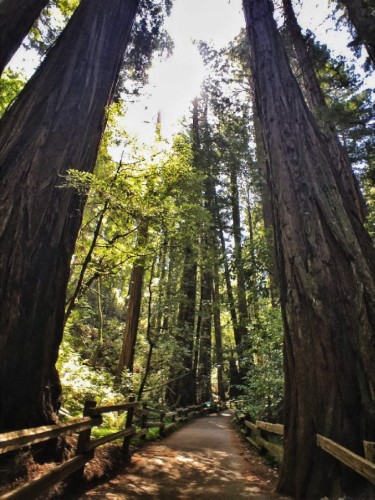 These 12 Breathtaking Road Trips From San Francisco Prove The Journey Is The Reward | HuffPost Life