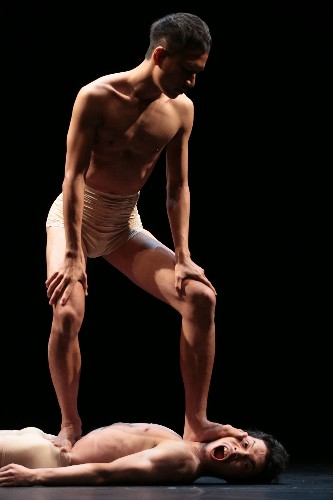 12 Hot Young Choreographers Strut Their Stuff at the Hong Kong Arts Festival