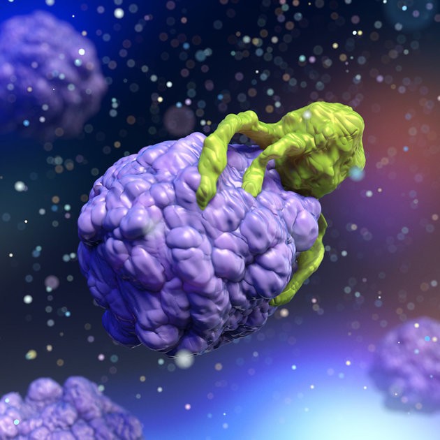 Scientists Discover Hidden Switch In Our Immune System For Fighting Cancer