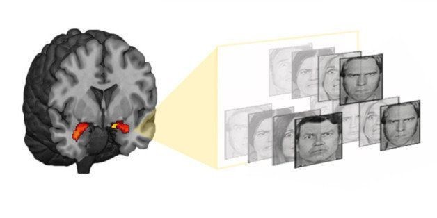 Measuring This Brain Region Could Predict Depression And Anxiety Years Before It Hits