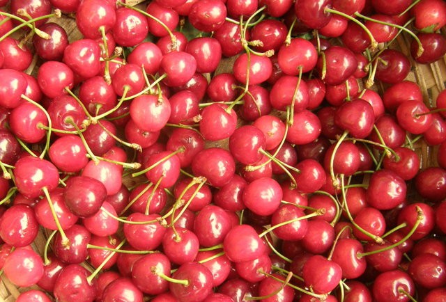 10 Things You Eat All the Time That Could Poison You