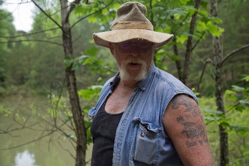 This Pig Preserve In Tennessee Shows How Pigs Should Live