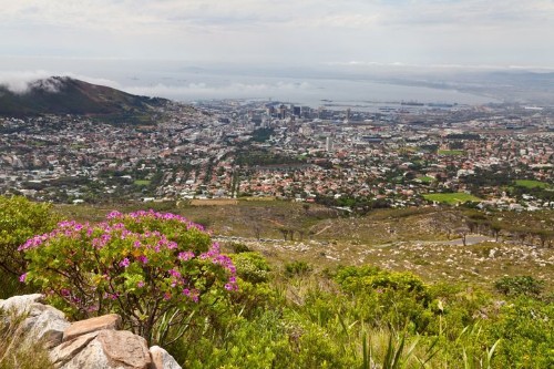 South Africa's Cape Winelands Provide Perfect Day Trip From Cape Town | HuffPost Life