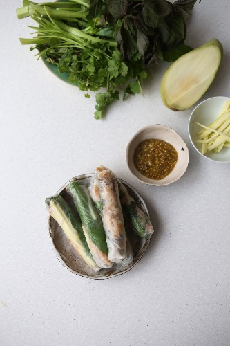 How to Enjoy a Salad - Make Vietnamese Summer Rolls