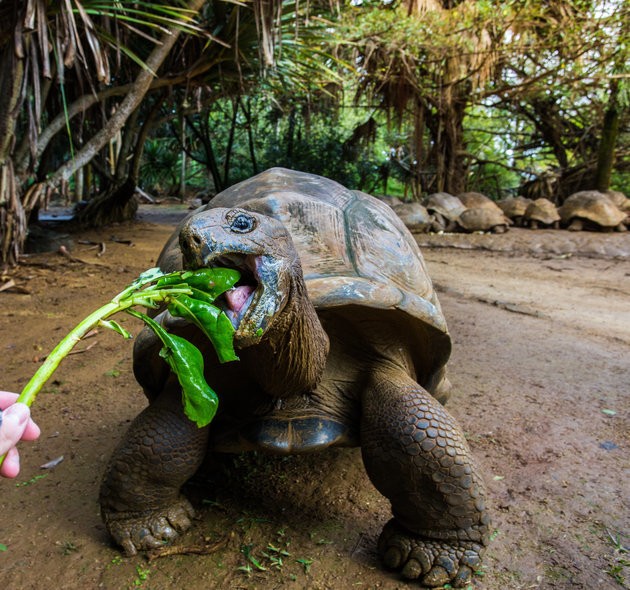 Ditch Your Winter Coat: Tropical Destinations To Head For When It Gets Cold